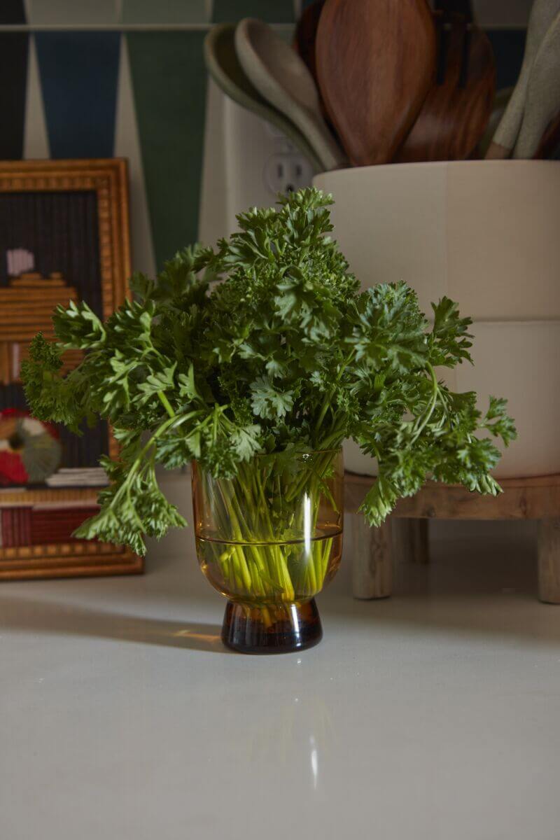 SALUD | Glasses - Set of 2 - DWELL by CM