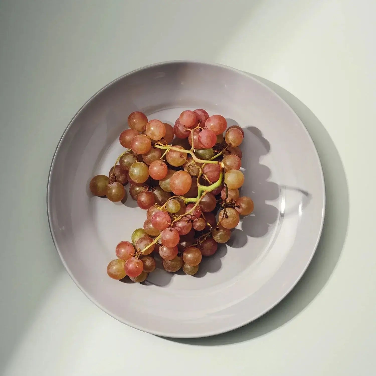 Large Plate - Set of 4 - DWELL by CM