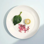 Large Plate - Set of 4 - DWELL by CM