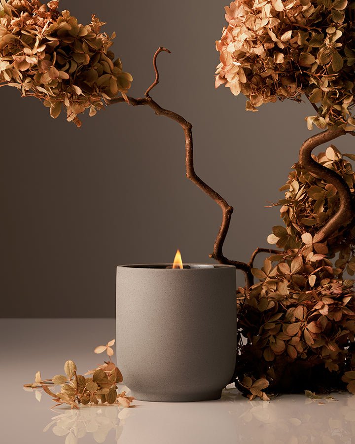 Candle - DWELL by CMHomecourt