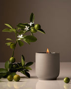 Candle - DWELL by CMHomecourt