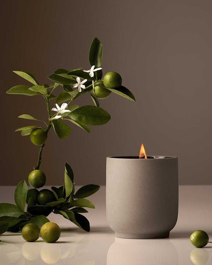 Candle - DWELL by CMHomecourt