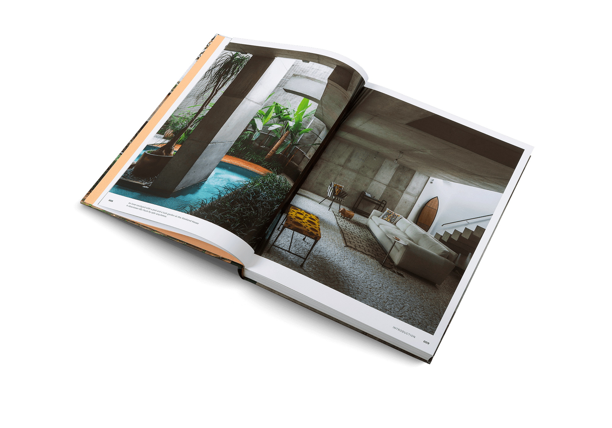 Concrete Jungle - DWELL by CMgestalten US Shop