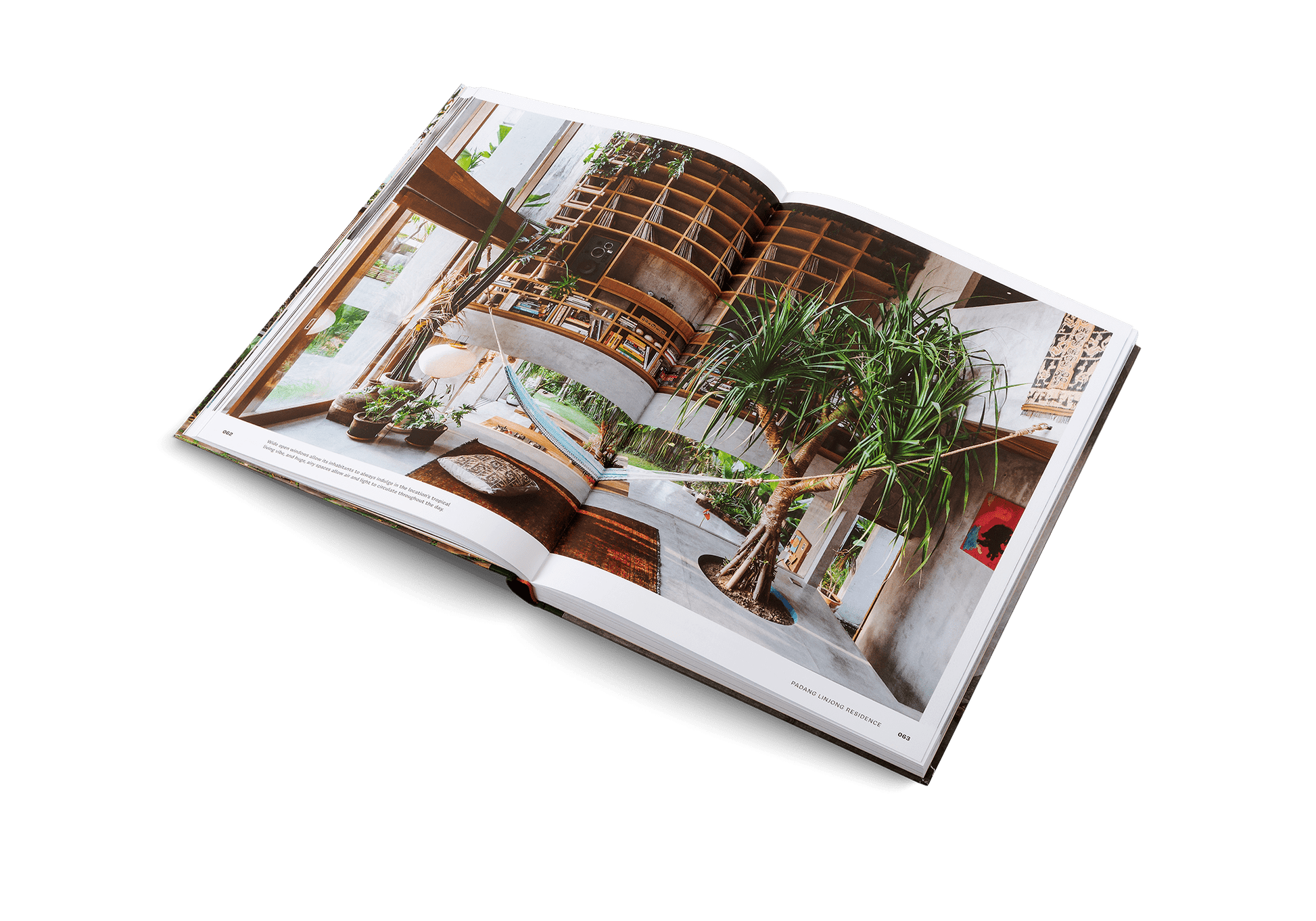 Concrete Jungle - DWELL by CMgestalten US Shop