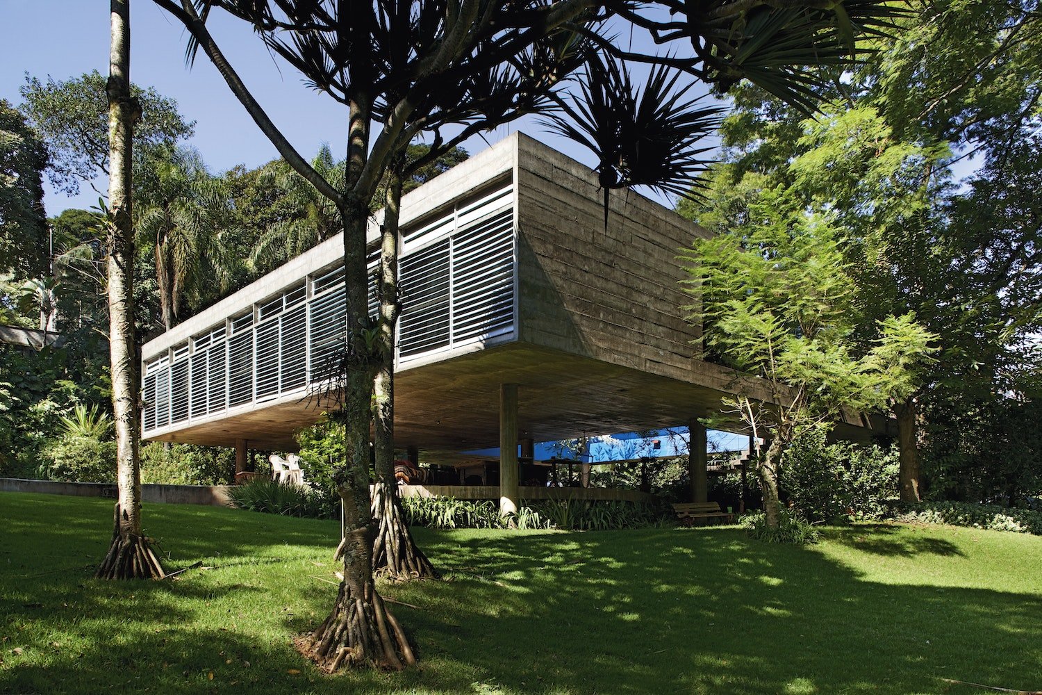 Concrete Jungle - DWELL by CMgestalten US Shop