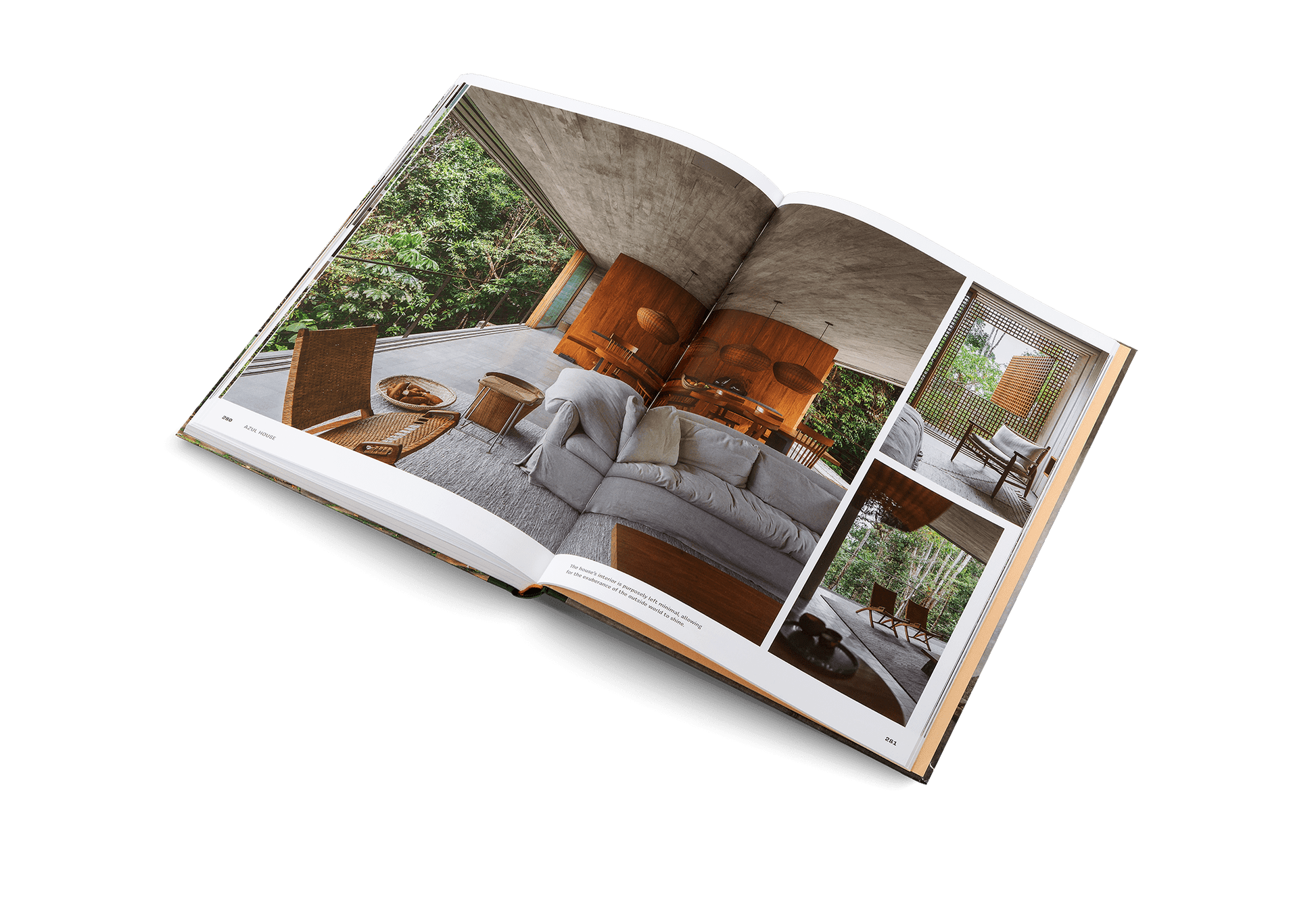 Concrete Jungle - DWELL by CMgestalten US Shop