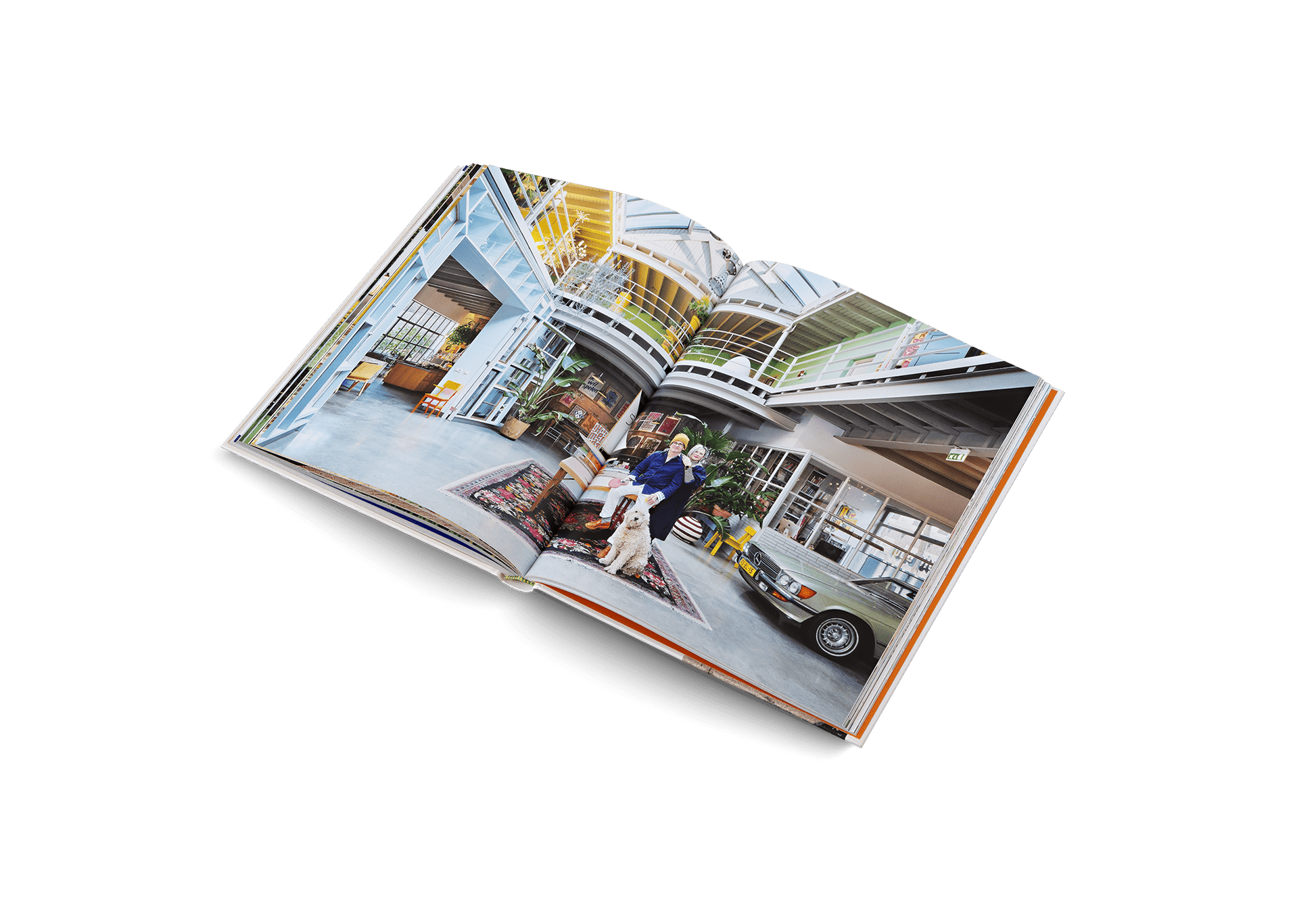Creative Homes - DWELL by CMgestalten US Shop