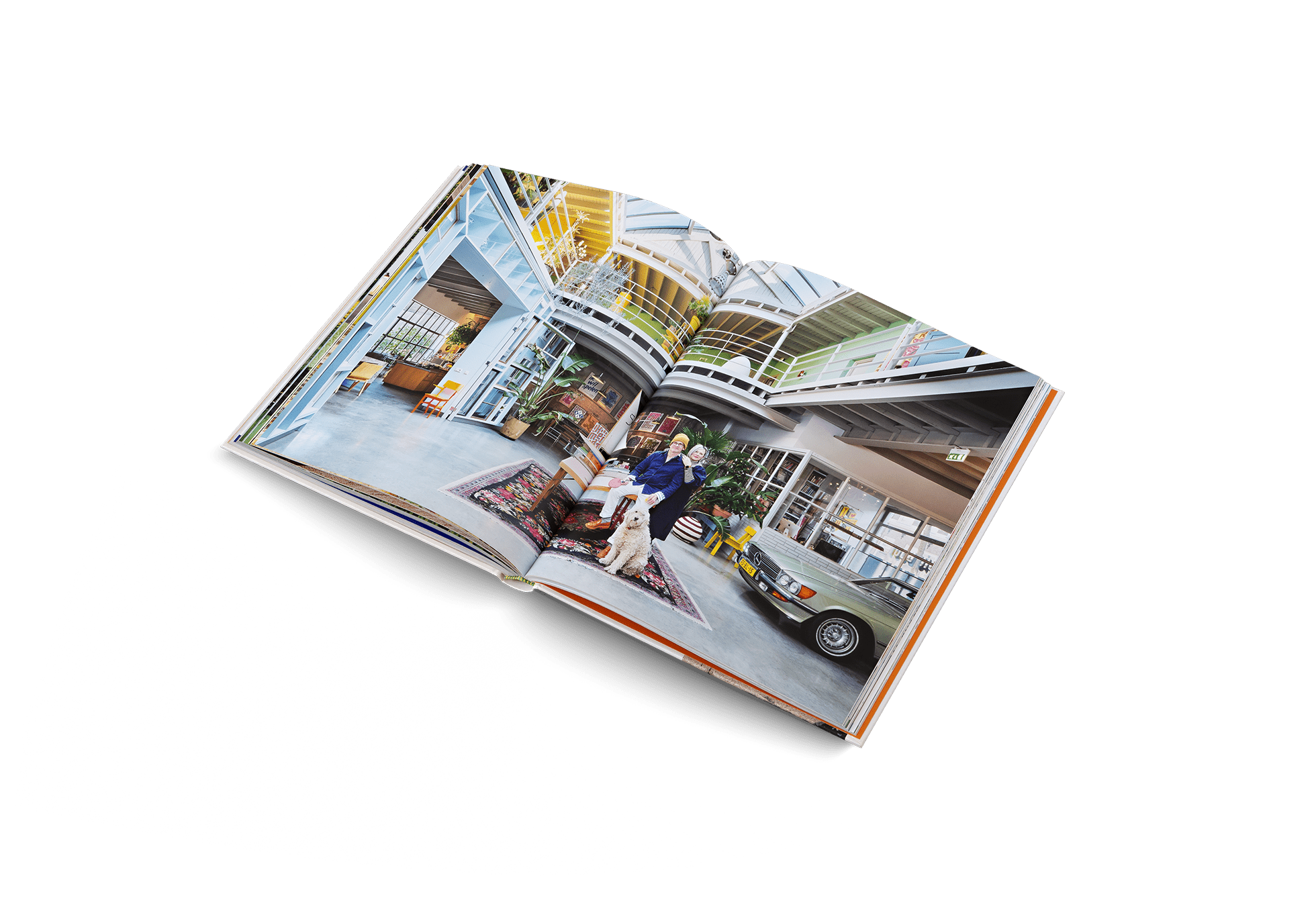 Creative Homes - DWELL by CMgestalten US Shop