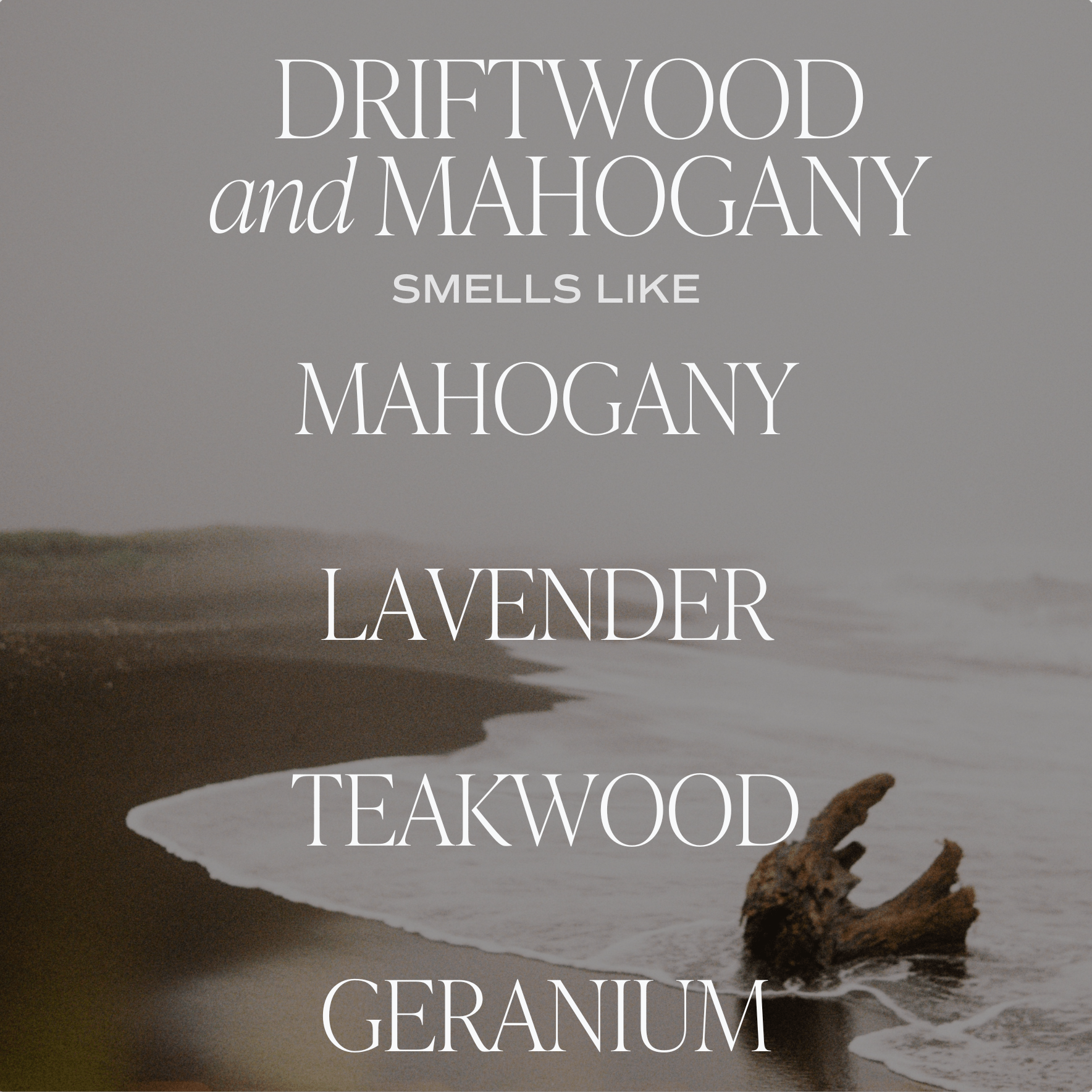 Driftwood and Mahogany Soy Candle - Amber Jar - 9 oz - DWELL by CMSweet Water Decor