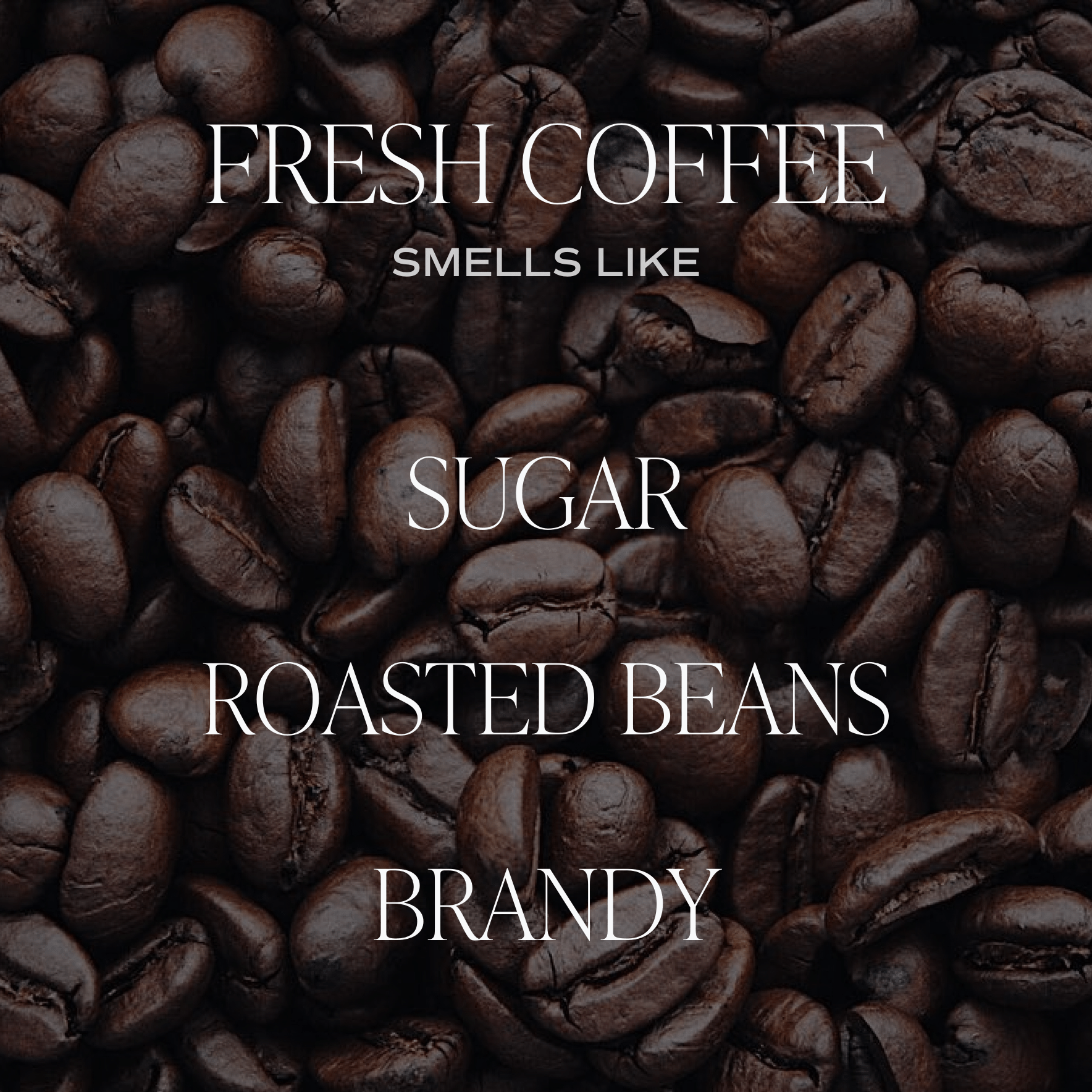 Fresh Coffee Soy Candle - Amber Jar - 9 oz - DWELL by CMSweet Water Decor