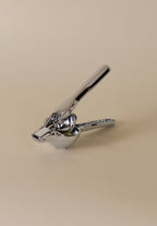 Link Citrus Press - DWELL by CMHolcomb
