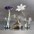 Midsummer Water Avens Vase - Orrefors Kosta Boda - DWELL by CMOrrefors