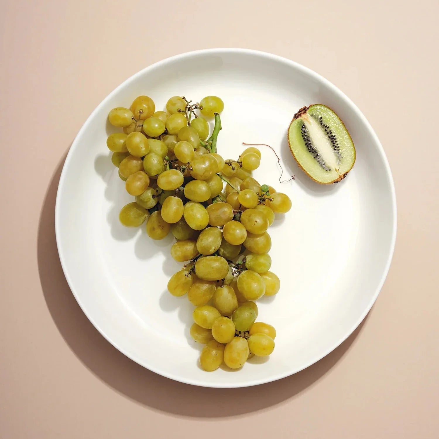 Shallow Serving Bowl - White - DWELL by CMFors Studio
